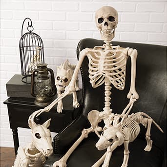 Skeletons