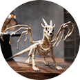 Halloween Decorations